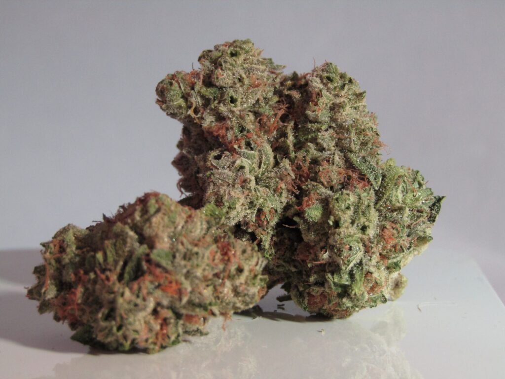 sativa strains for energy