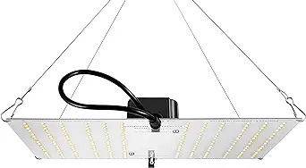 Quantum Boards by Horticulture Lighting Group (HLG)